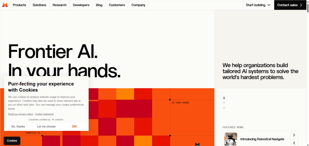Mistral AI platform and model ecosystem.